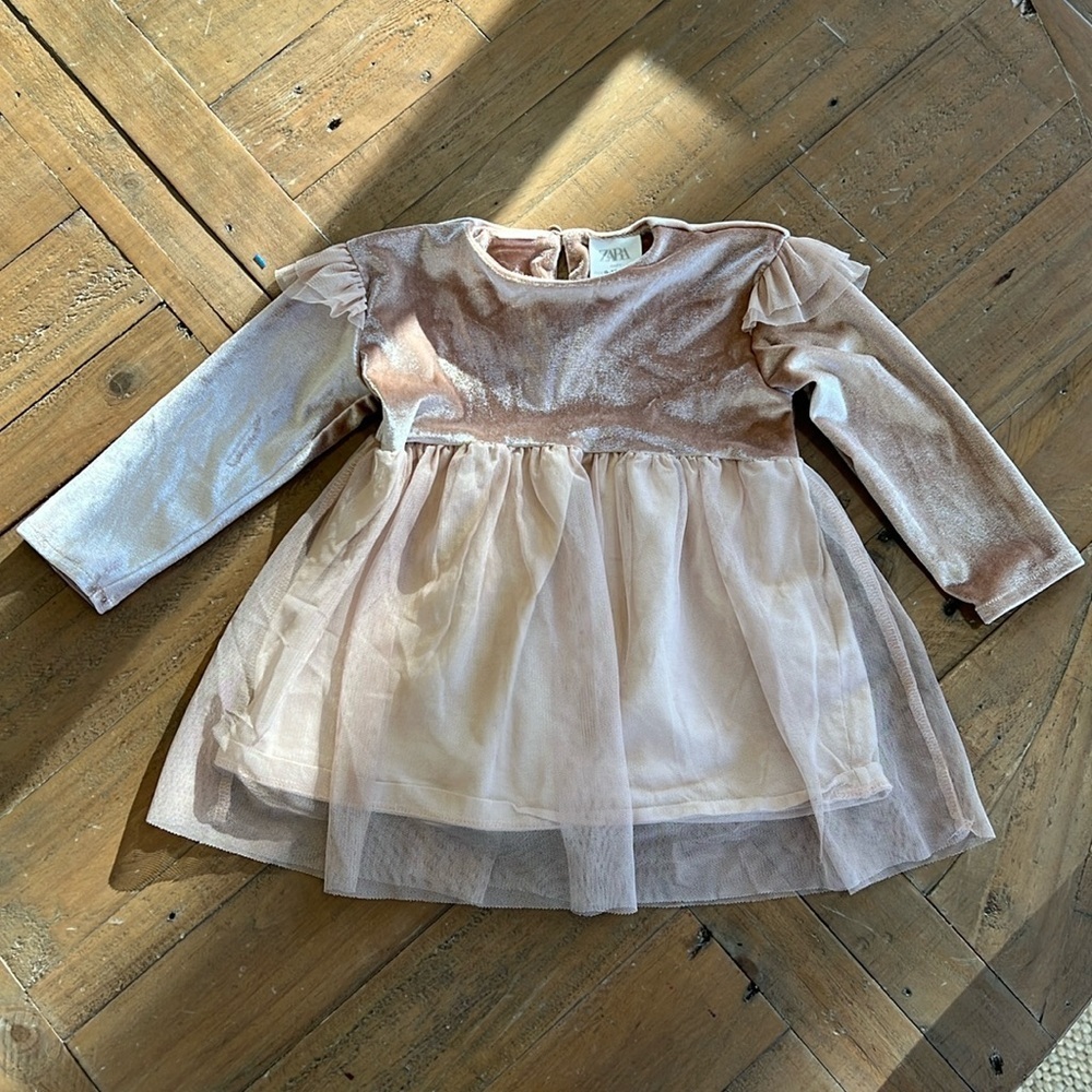 Zara Rosy Tan Velour Tulle Dress